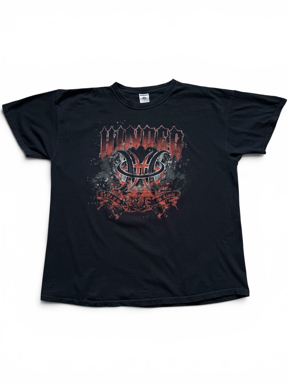 Y2K 2008 HINDER band tee TAKE IT TO THE LIMIT tour (affliction style)